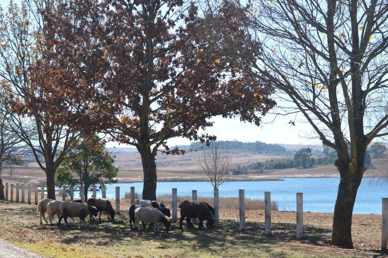 Dullstroom On The Dam Kültér fotó